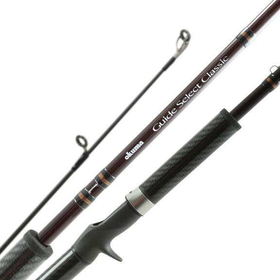 9'6" Guide Select Classic Salmon Baitcasting Rod image number 0
