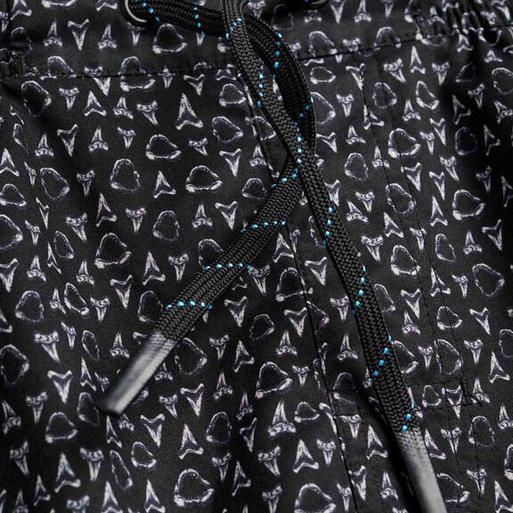 Men's Jaws Volley Shorts image number 2