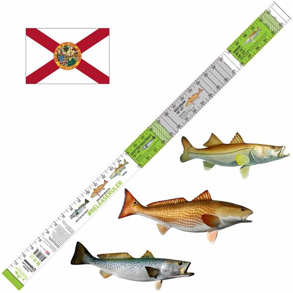 Florida Inshore Slam Release Ruler 34in x 3in (Decal) image number 0