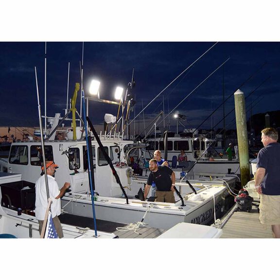 Lightship 100, 13,300 Lumen LED Spotlight, Black image number 3