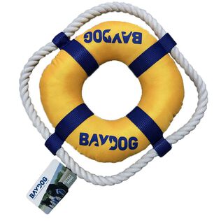 Fetch Ring Dog Toy