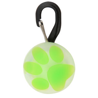 PetLit LED Collar Light, Lime Paw