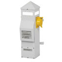 21" Piling Mount Power Pedestal,  (1) 30 Amp and (1) 20 Amp Receptacle image number 0