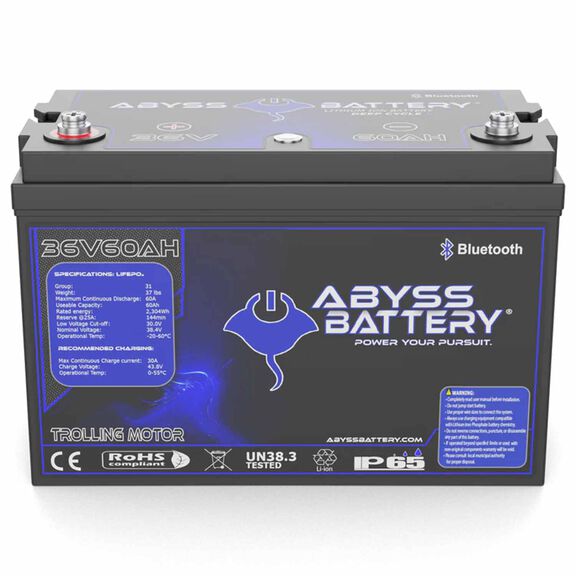 36V 60AH Lithium Iron Phosphate Group 31 Trolling Motor Battery, Bluetooth Enabled image number 0