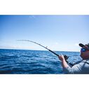 Saltist&reg; Conventional Boat Rods image number 1