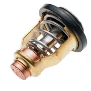 Yamaha 6FP-12411-00-00 Thermostat