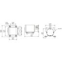 SEAFLO 24V 8 GPM Reversible Self-Priming Bilge/Ballast Pump image number 1
