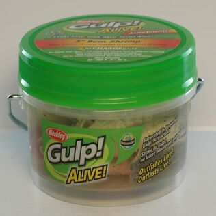 Gulp! Alive!&reg; Saltwater Shrimp Assrtmnt