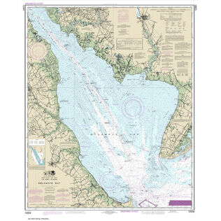 #12304 Delaware Bay