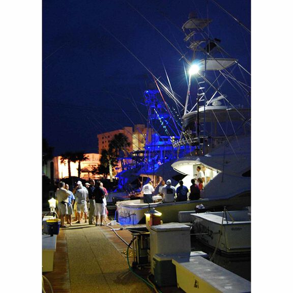 Maxillume2 Floodlight, Bracket Mounted, White Dimming image number 1
