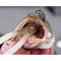 10 1/2" Hook Cutter image number 4