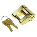 Trailer Coupler Lock image number 0