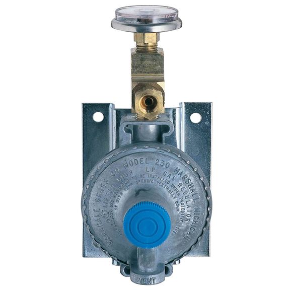 Single-Stage Bulkhead-Mount LPG Regulator image number 0