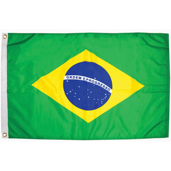 Brazil Courtesy Flags image number 0