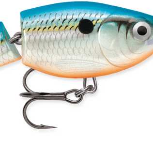 Jointed Shad Rap
