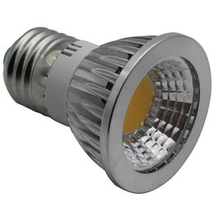 Edison Standard Screw Downlight E26/E27 LED Premium Bulb