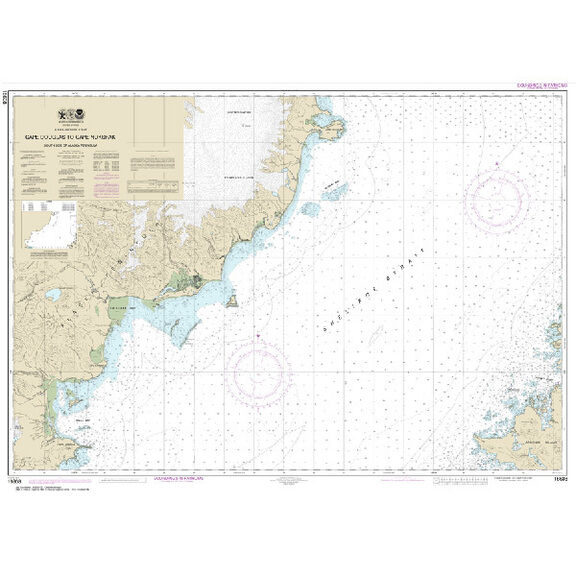 #16608 Shelikof Strait Cape Douglas to Cape Nukshak image number 0