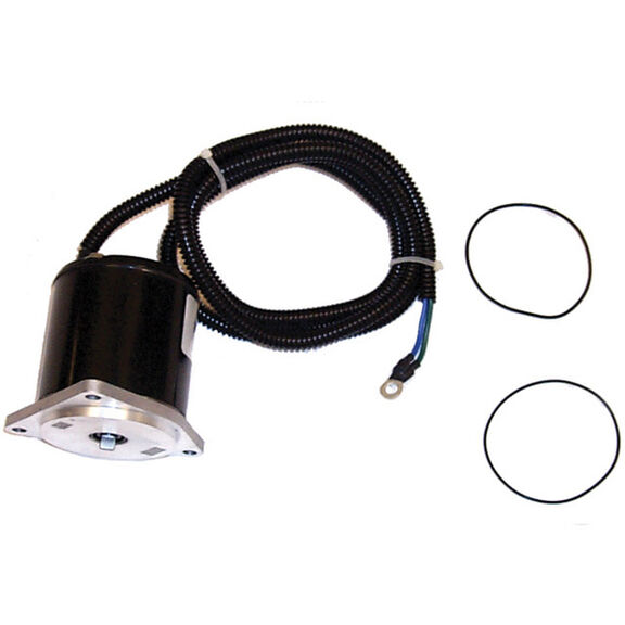 18-6781 Power Tilt and Trim Motor for Yamaha Outboard Motors image number 0