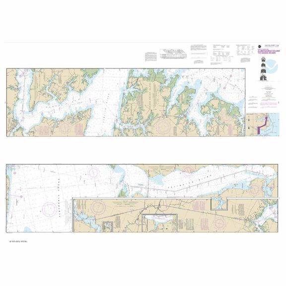 #11553 Albermarle Sound to Neuse River Alligator image number 0