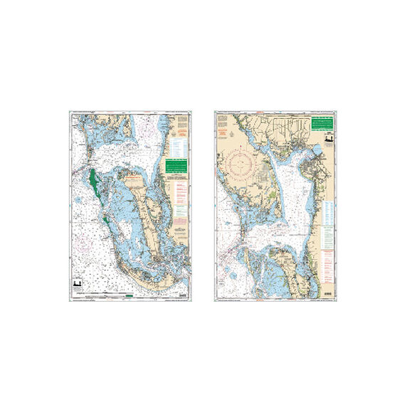 Large-Print Waterproof Charts image number 0
