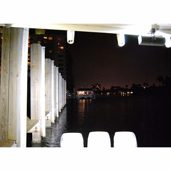 Maxillume2 Floodlight, Bracket Mounted, White Dimming image number 2