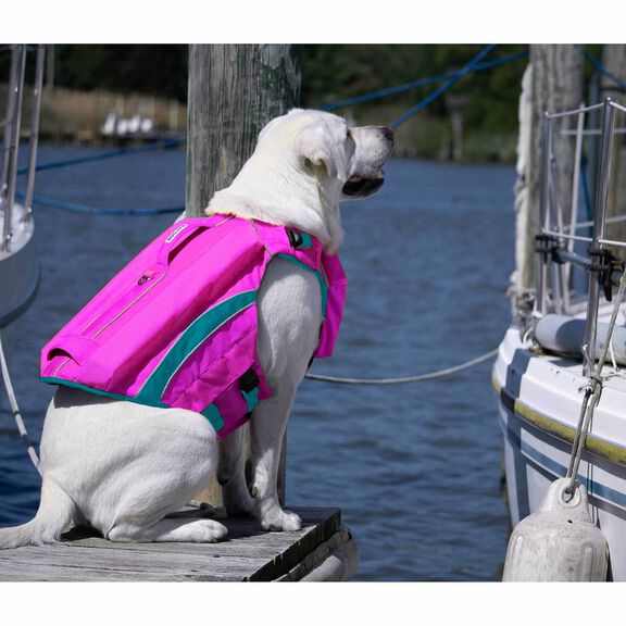 Monterey Bay Offshore Pet Life Jackets image number 2