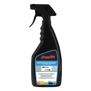 All Purpose Cleaner, 22 oz.
