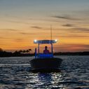 Contour Combination Port Navigation/Docking Light, 2 Nautical Miles, White/Red image number 1