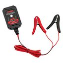 6V/12V Portable Automatic Smart Battery Charger & Maintainer image number 0