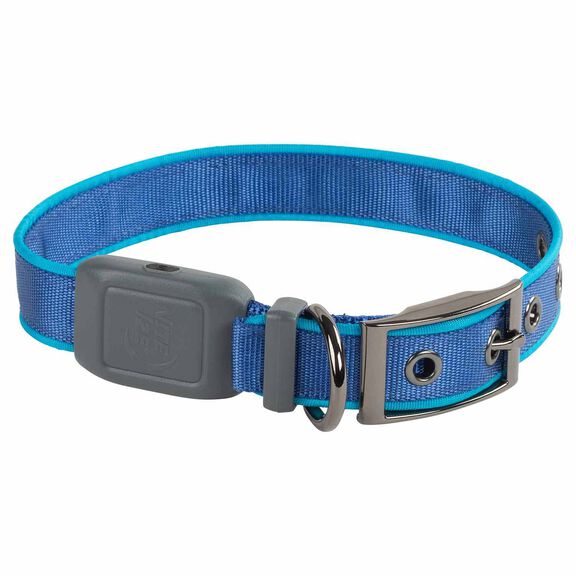 NiteDog&trade; Rechargeable LED Dog Collar, Medium image number 2