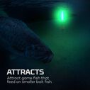 Submerser 300 Submersible Fishing Light image number 3