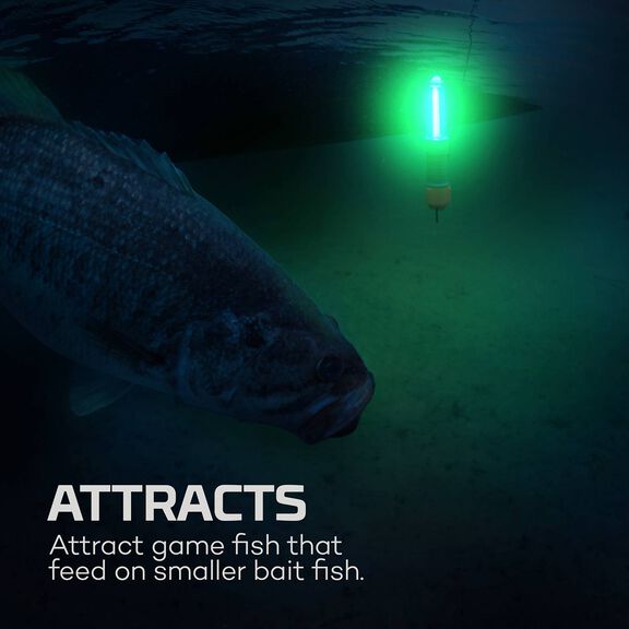 Submerser 300 Submersible Fishing Light image number 3