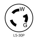 30 Amp 125 Volt Locking Plug, Industrial Grade, Grounding, NEMA L5-30P 2P-3W, Wetguard Watertight image number 1
