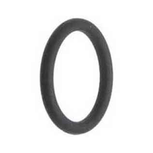 Strainer Cap O-Ring for SBV-1250