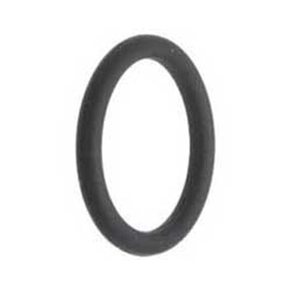 Strainer Cap O-Ring for SBV-1250 image number 0