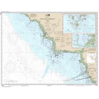 #11408 Crystal River Horseshoe Point Suwannee River