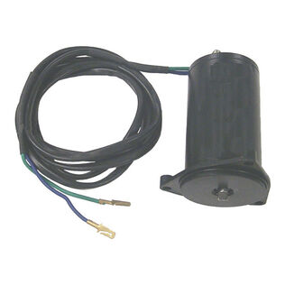 Tilt/Trim Motors, Outboard Applications