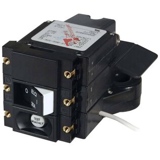 A-Series ELCI Main Circuit Breaker, Double Pole, 120V AC, 30A