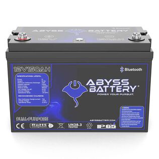 12V 150Ah Dual Purpose Group 31 Lithium Marine Battery, Bluetooth Enabled