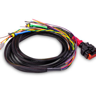 Wakespeed WS500/PH-CAN Wiring Harness