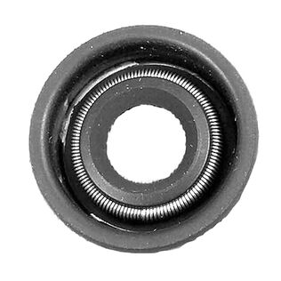 Lectra/San - Motor Shaft Seal