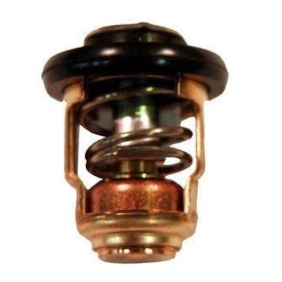 Yamaha 6AH-12411-00-00 Thermostat image number 0