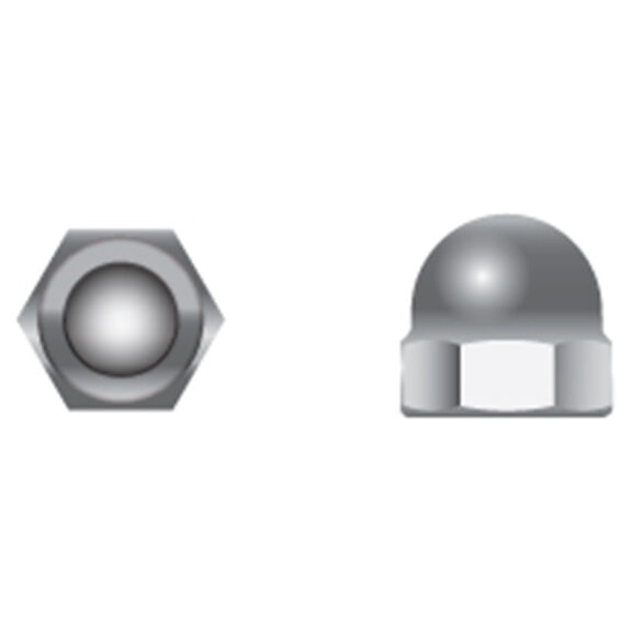 Stainless Steel Metric Cap Nuts image number 0