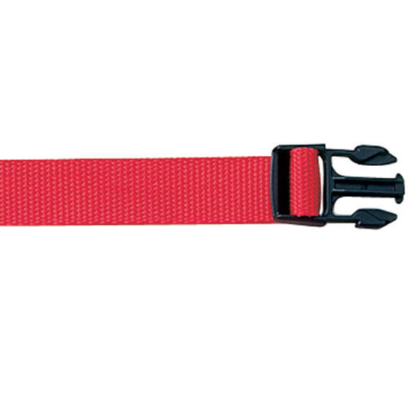 2" Side Release Buckle image number 0