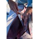7" Dextreme DX7F Dual Edge Fillet Knife image number 5