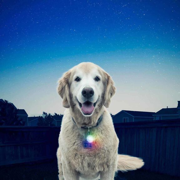 SpotLit&trade; LED Collar Light - Disc-O Select&trade; image number 7
