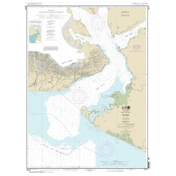 #16741 Icy Bay image number 0