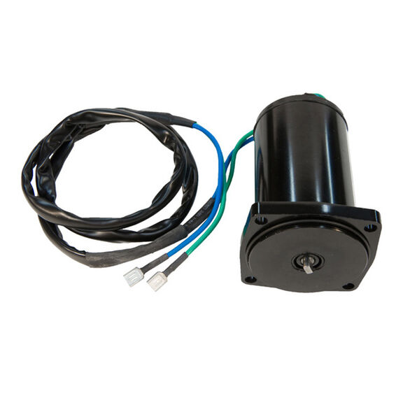 18-6793 Trim Motor image number 0