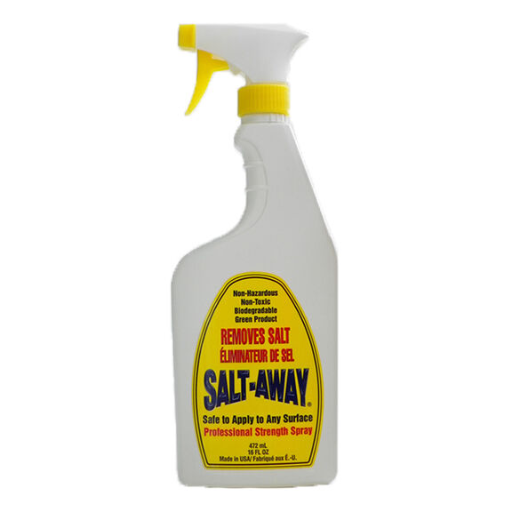 Professional Strength Salt-Removing Spray, 16 oz. Bottle image number 0