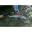 7' Triumph Inshore Spinning Rod, Medium Heavy Power image number 6